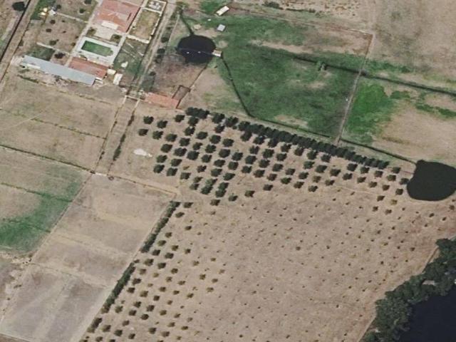 Piso en Venta en Ciudad Rodrigo
