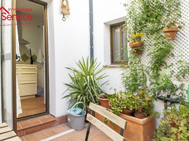 Piso en venta en Córdoba, Casco Histórico Ribera San Basilio. PISO EN CONDE DE GAVIA CON LICENCIA TURÍSTICA. Pisos.