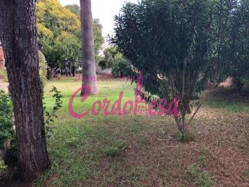Alcolea, Córdoba, Córdoba, Andalucía, Andalucía