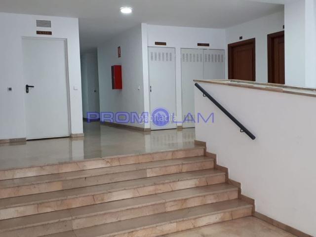 Piso en venta en Coria del Río. ALQUILADO ASTILLEROS, BLOQUE C CORIA DEL RIO. Pisos Coria del.