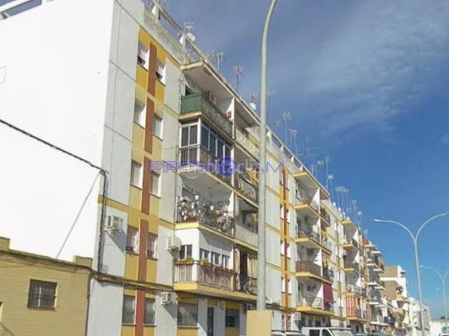 Piso en venta en Coria del Río. ALQUILADO PISO CALLE BATAN 2 DORMITORIOS. Pisos Coria del.