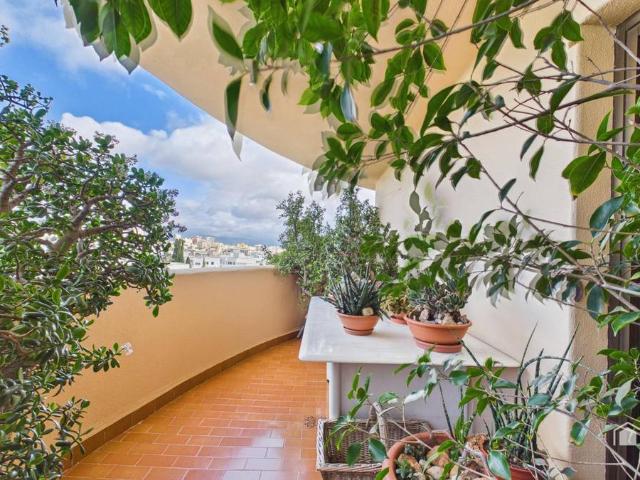 Piso en Venta en Calvià pueblo