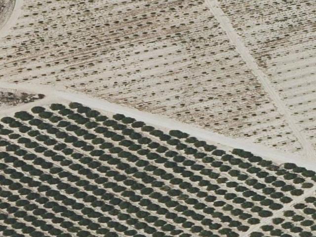 Piso en Venta en El Fenazar Campotéjar