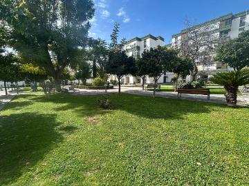 Jerez de la Frontera, Cádiz, Andalucía, Andalucía