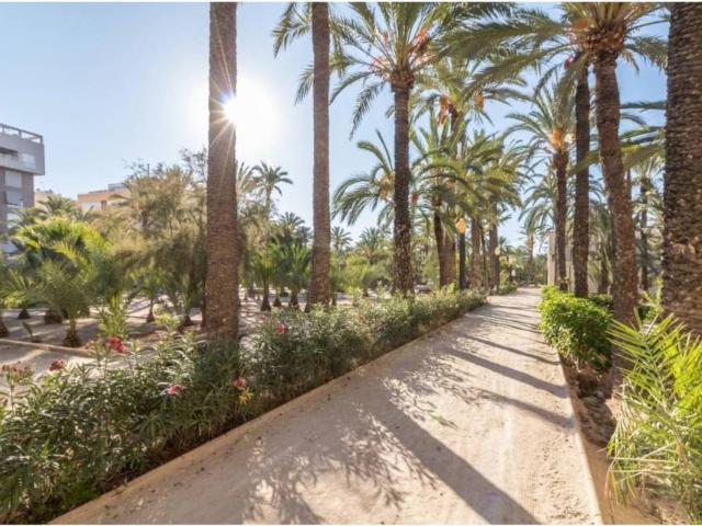 Piso en Venta en Elche Elx