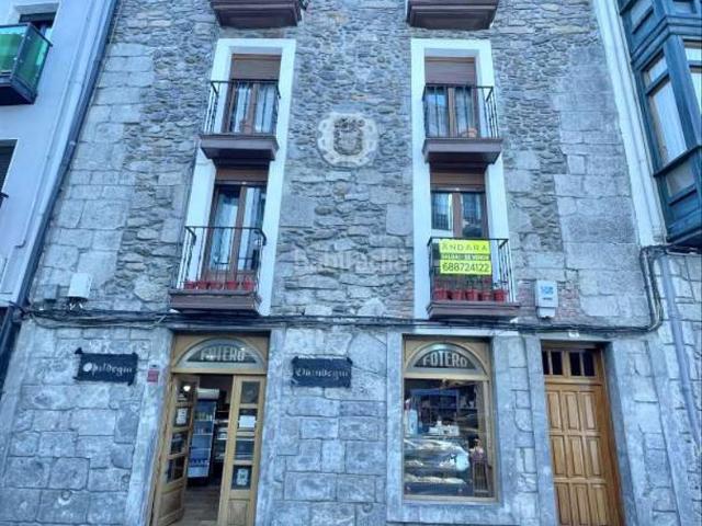 Piso en venta en Elgoibar. SE VENDE PISO EN CALLE SAN FRANTZISKO. Pisos.