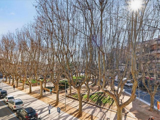 Piso en venta en Figueres, Centre. Piso señorial en Figueres Costa Brava, con espectacular terraza privada de 316 m2. Pisos.