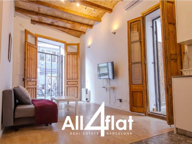 Piso en venta en Hospitalet de Llobregat L´, La Torrassa. PISO CON LICENCIA TURÍSTICA ACTIVA, EN LA FRONTERA ENTRE HOSPITALET Y BARCELONA, UNA HABITACIÓN, UN BAÑO CON TERRAZA. Pisos Hospitalet de.
