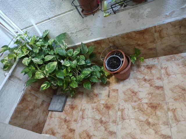 Piso en venta en Hospitalet de Llobregat L´, La Torrassa. Rafael De Campalans. Pisos Hospitalet de Llobregat.