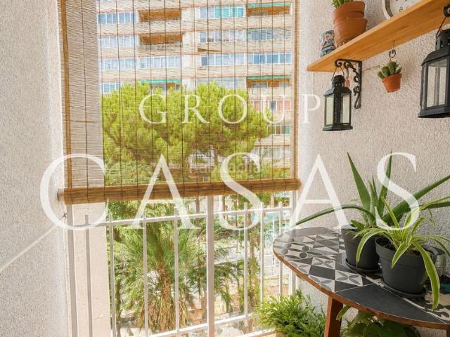 Piso en venta en Hospitalet de Llobregat L´, Sanfeliu. Pisos Hospitalet de Llobregat.