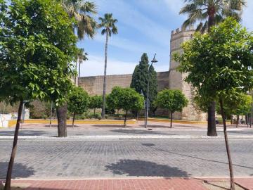 Calle Juan Sanchez, Jerez de la Frontera, Centro de Jerez de la Frontera, Macharnudo Alto, Cádiz, Andalucía, Andalucía