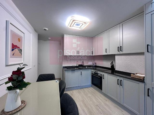 Piso en venta en Lugo, Recatelo O Carme. EN VENTA APARTAMENTO DE 1 DORMITORIO CON LICENCIA PARA USO TURISTICO EN EL PARQUE DE ROSALIA DE CASTRO. Pisos.