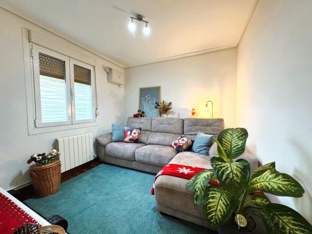 Piso en venta en Leioa, Lamiako Txopoeta. Piso en calle Languileria. Para entrar a vivir. Junto a todos los servicios. Especial para inversores. Pisos.