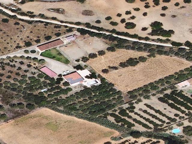 Piso en Venta en Llevant