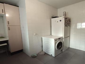 Avenida de la Paz, Sevilla, El Juncal, El Puerto De Santa Maria, Sevilla, Sevilla, Andalucía, Andalucía