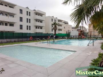 Jerez de la Frontera, Cádiz, Andalucía, Andalucía