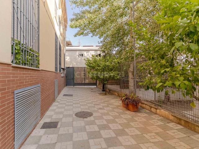 Piso en venta en Pulianas. Amplio piso reformado, cochera y trastero en Pulianas, Granada. Pisos.