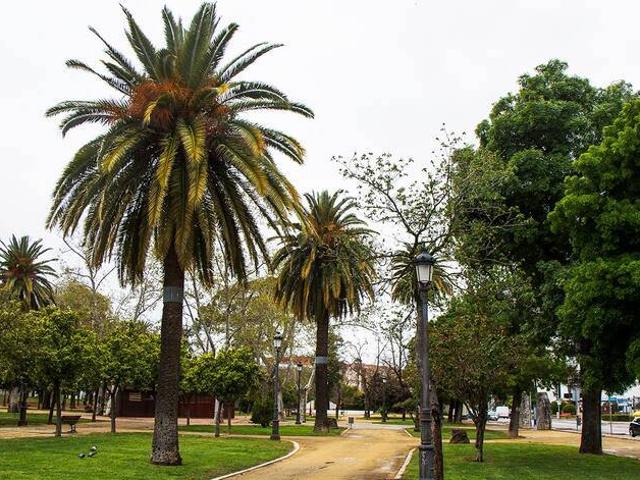 Piso en Venta en Pago San José Princi Jerez