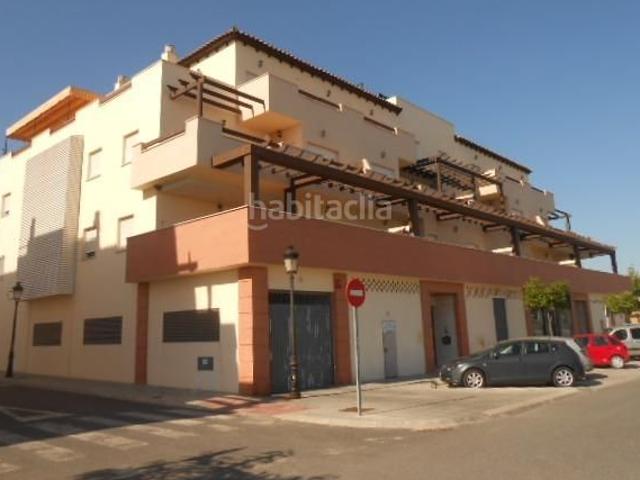 Piso en venta en Palma del Condado La. Vivienda 2 Garajes en La Palma del Condado, Huelva. Activo Inmobiliario Sin Posesión Alquilado No se Puede Visitar. Pisos Palma del Condado.