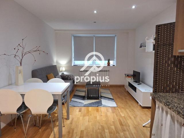 Piso en venta en Parres. APARTAMENTO DE 1 DORMITORIO CON ASCENSOR Y TRASTERO. Pisos.