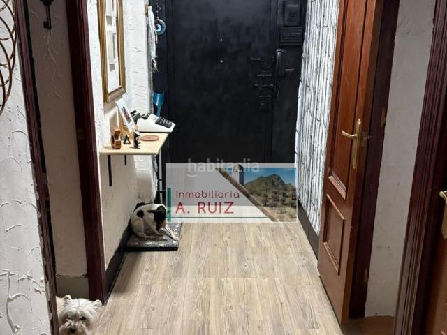 Piso en venta en Rute. PISO EN PLANTA BAJA REFORMADO. Pisos.
