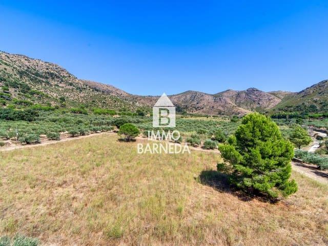Piso en venta en Roses, Girona Costa Brava