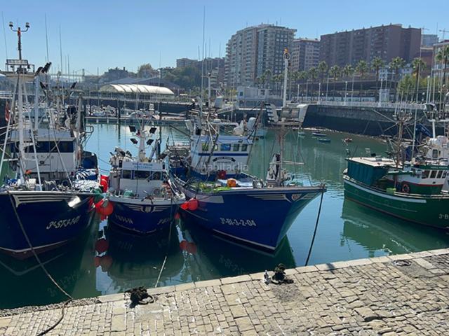 Piso en venta en Santurtzi, Larrea San Juan de Dios Peñota. NUDA PROPIEDAD en venta en Plaza Juan José Mendizábal. Pisos.