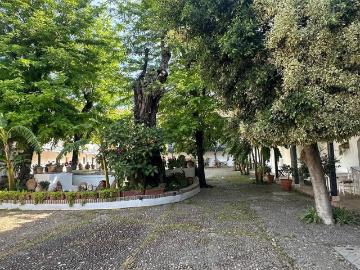 El Arenal, Sevilla, Sevilla, Sevilla, Andalucía, Andalucía