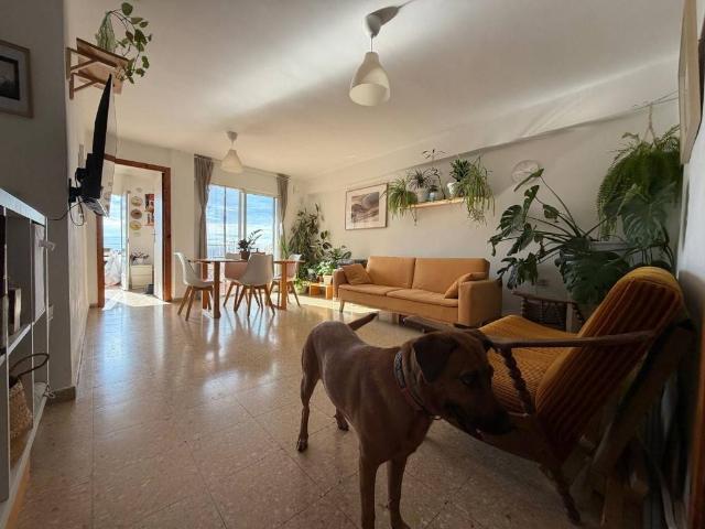 Piso en Venta en Segorbe