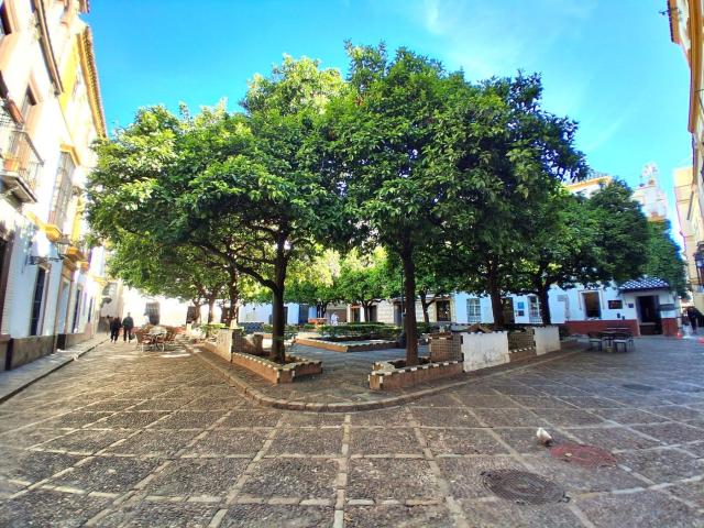 Piso en venta en Sevilla, Alfalfa Santa Cruz. Joya en venta en la Judería de Sevilla. Pisos.