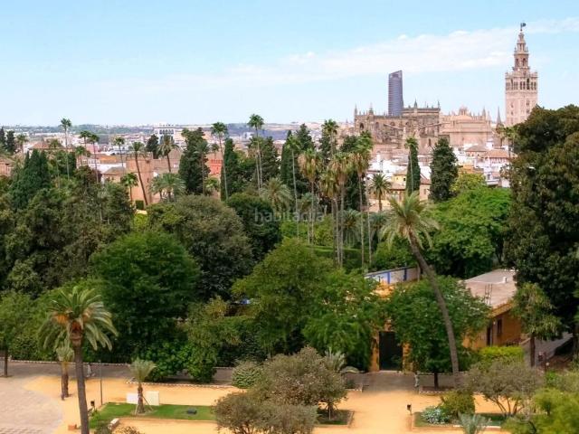 Piso en venta en Sevilla, San Bernardo. Espectacular activo patrimonial en venta 5ª planta con vistas a los Jardines de Murillo y la Giralda. Pisos.