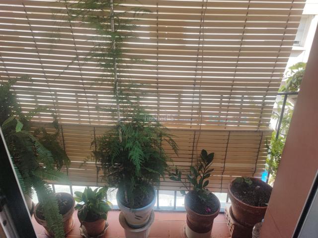 Piso en venta en Tarragona, Eixample Costa Dorada. Piso muy acogedor. Pisos.