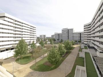 El Arenal, Sevilla, Sevilla, Sevilla, Andalucía, Andalucía