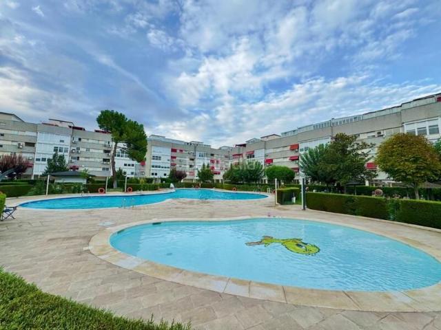 Piso en venta en Torrejón de Ardoz, Veredillas. Globalpiso Torrejón vende exclusiva y espectacular vivienda de 146 metros de superficie de piso, más 150 metros de patio propio. Pisos Torrejón de.