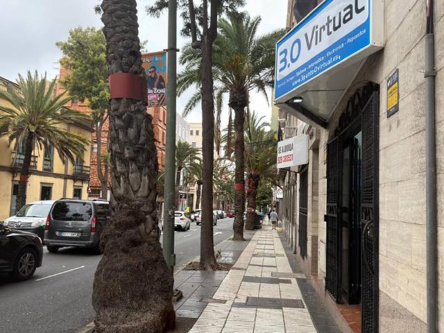 Piso en Venta en Triana