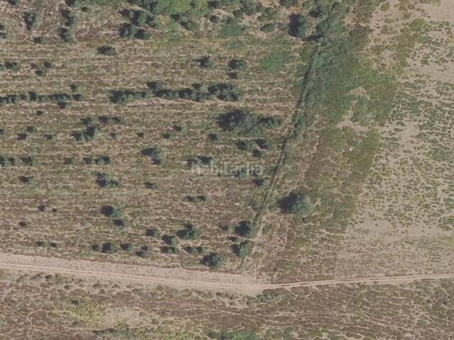 Piso en venta en Valdeolea. Inmueble en venta en Valdeolea. Pisos.