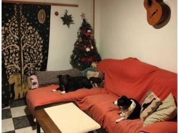 Trinidad, Los Vázquez, Málaga, Andalucía, Andalucía