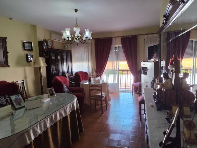 Piso en venta en Zafra. PISO INDEPENDIENTE, 5 DORMITORIOS, 2 SALONES, COCINA GRANDE, 2 BAÑOS, TERRAZA 100 M2, SALON TRASTERO. Pisos.
