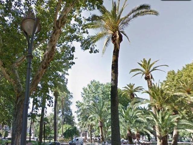 Piso en Venta en Zona Centro