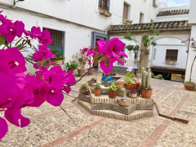 Piso en Venta en Zona Centro