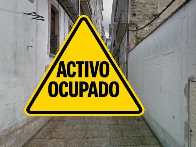 PISO EN VIVEIRO