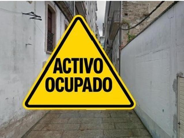 PISO EN VIVEIRO
