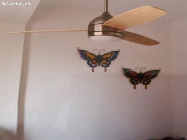 PISO EN ZAPILLO