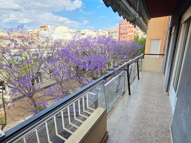 Piso, Ensanche Diputación, Alicante / Alacant