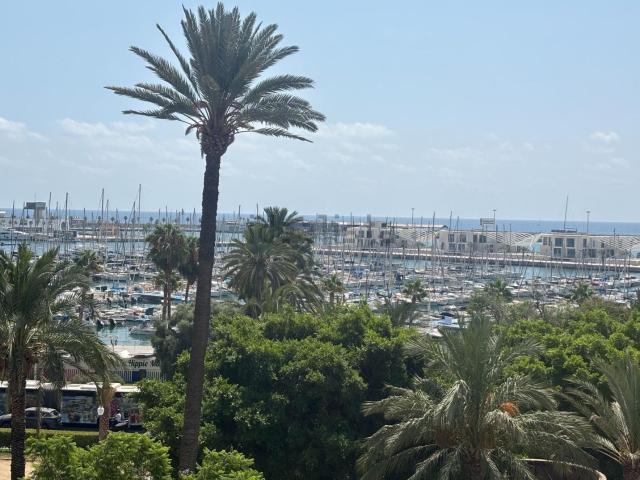 Piso, Ensanche Diputación, Alicante / Alacant