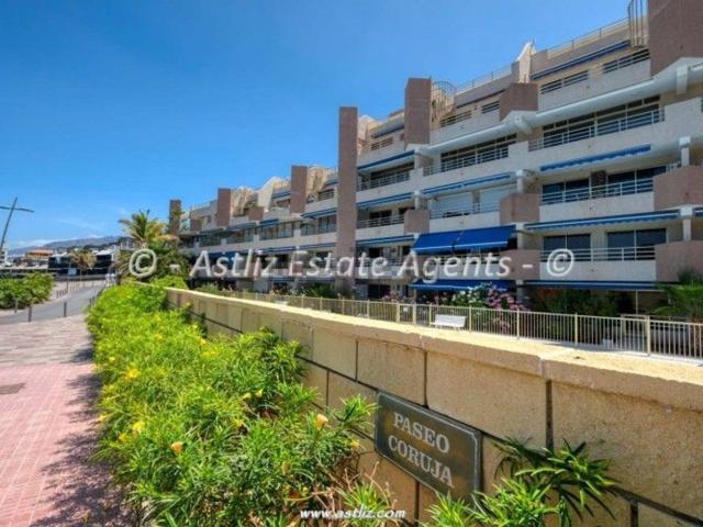 Piso, Guia de Isora
