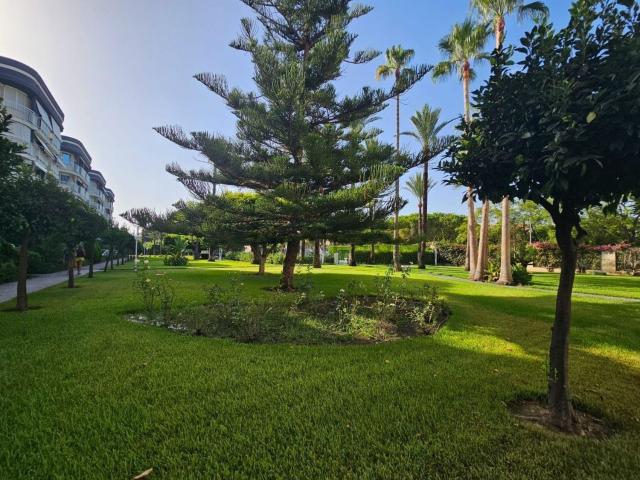 Piso, Gandia