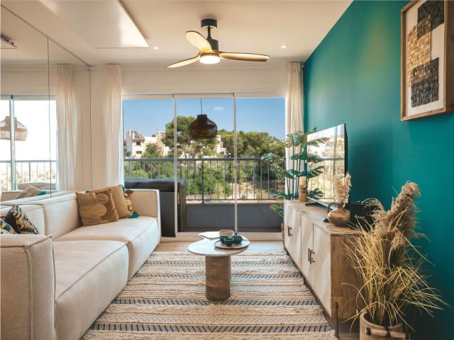 Piso, Genova, Palma de Mallorca