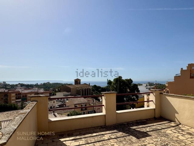 Piso, Genova, Palma de Mallorca