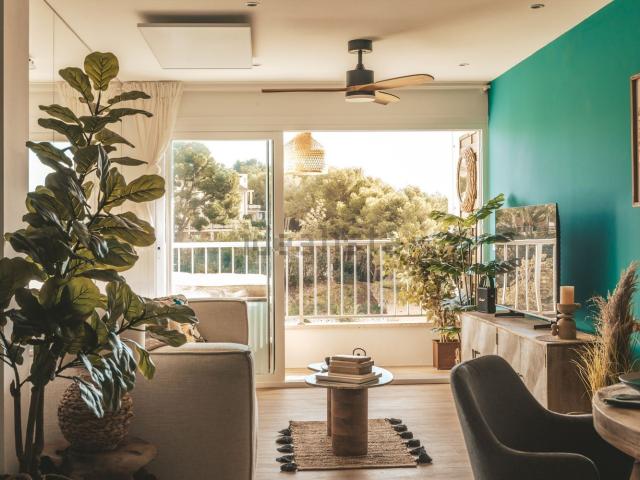 Piso, Genova, Palma de Mallorca